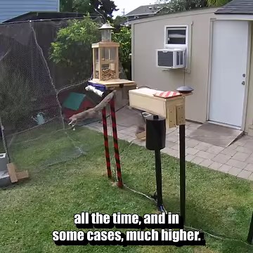 287K views · 7.4K reactions | Backyard Squirrel Maze 1.0 - Ninja Warrior Course | Mark Rober | Facebook