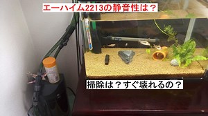 エーハイム2213の静音性は？掃除は？壊れにくい？