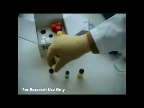 Technothrombin® TGA (Thrombin Generation Assay)