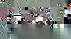 647 reactions · 151 shares | SparBar - how these champions get lighting quick boxing / striking skills Get yours at sparbar.com | Sparbar Boxing | Facebook