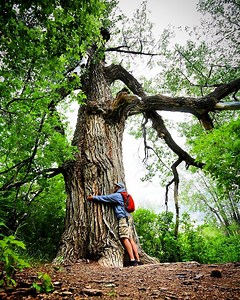 25 Must Visit Natural Wonders in Saskatchewan