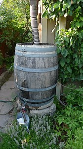 Rain Barrel Basics: Why, How to Set One Up, and Winterizing - Northern Gardener