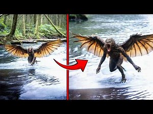 This Man's Camera Captured Strange Creature Crawling Out Of The River!