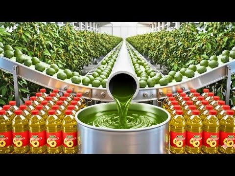 How to make Avocado oil inside factory process revealed