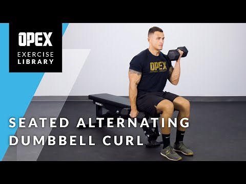 Seated Alternating Dumbbell Curl - OPEX Exercise Library