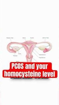 Diagnosing PCOS: The Essential Lab Tests You Need