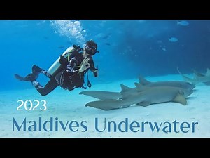 Maldives scuba diving safari - a cinematic video