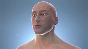 Here's a look at what happens inside your body when you get a migraine -- and how a new treatment aims to stop them before they begin. https://wb.md/2Gvqcvv | WebMD