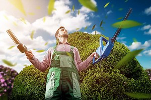 8 Tips to Use Your Hedge Trimmer like a Pro