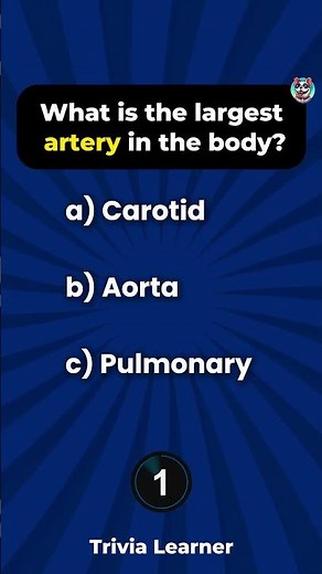 Human Body Quiz 🧠💪 | How Well Do You Know Your Body?