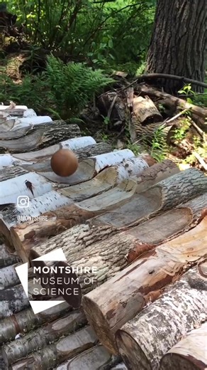 2.4K views | Vermont is the perfect place to spark curiosity! ️ Explore, discover & create lifelong memories in our beautiful state! Friendly locals await your arrival. Come and experience it for yourself! | Montshire Museum of Science | Facebook