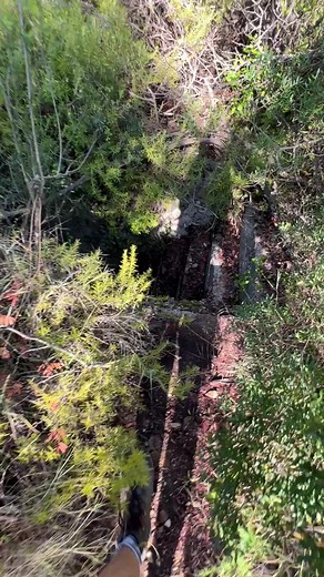 I was not meant to find this place! 😱 While hiking through a forest I came across this overgrown entrance that led underground. Heading inside to explore it I found myself in a maze of long tunnels and secret rooms! This is definitely one of the creepiest abandoned places I have explored! #abandonedplaces #abandoned #urbex #exploring #creepy