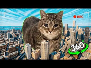 360° OIIAOIIA Cat in Real Life - 4K VR Experience