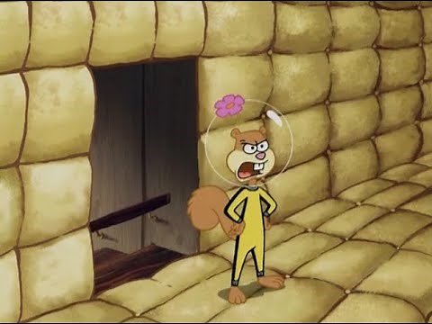 SpongeBob SquarePants episode Karate Island aired on January 3, 2006