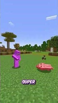 Illegal Things That Work in Minecraft! 🤫 ⛏️ #shorts