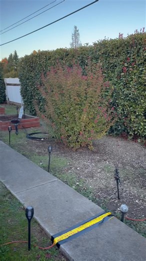 Stay tuned for tonight when we turn everything on!!! | Alicia Dickinson