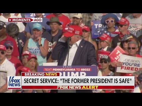 WATCH: Moment Trump appears to be shot at rally