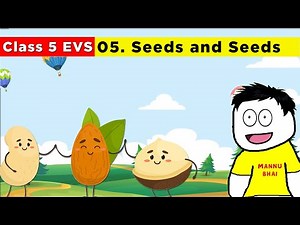 Class 5 Evs chapter 5 - Seeds and Seeds | Class 5 Evs | seeds and seeds