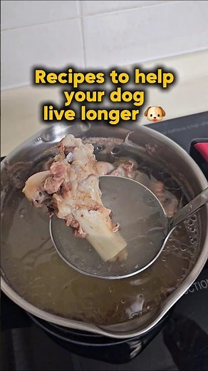 🐶 Easy bone broth for dogs recipe 🦴