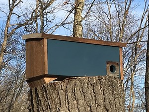 How to Build a Winter Roosting Box: DIY Barn Wood Project for the Birds