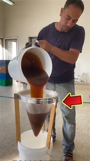 How this person make raw Honey into clean🍯#shorts #viral #viralvideo #education #treanding