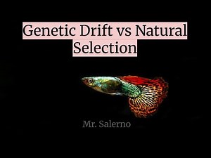 Genetic Drift vs Natural Selection