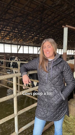 Cow Manure: Fertilizing Fields and Farm Equipment