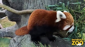 6K views · 436 reactions | This year, we have all faced difficult...