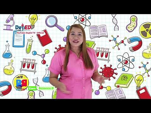 Grade 6 Science Q1 Ep 11 Separating mixtures through filtering, sieving, evaporation, decantation