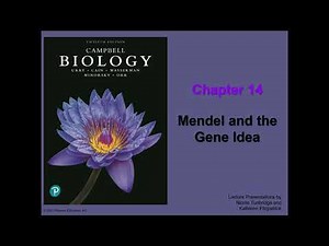 General Biology (College) - Chapter 14 - Mendel and the Gene Idea