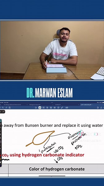 Testing Light Intensity Effects on Carbon Dioxide Levels