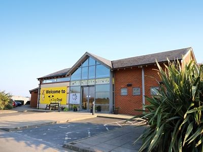 Dog Rescue, Rehoming & Adoption Leeds | Dogs Trust