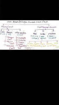 Composition & Functions of Blood | Part 1 | Short Explained