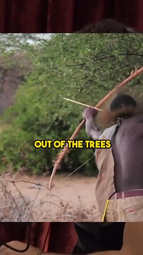 7K views · 75 reactions | Paul Rosolie Almost Killed By Uncontacted Tribes - Joe Rogan | PodSip | Facebook