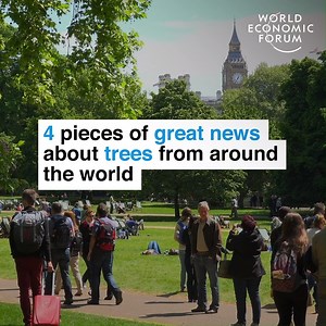 254K views · 6.3K reactions | Nurturing nature.  Read more: https://wef.ch/2yqq5zZ | World Economic Forum | Facebook