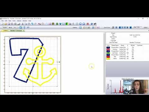 Intro to Sew What Pro