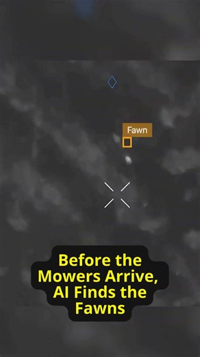 How This Custom AI on the DJI Matrice 4TD Drone Finds Fawns Before the Mower Does 🎥 @copterpro10