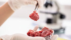 Is lab-grown meat the future of sustainable and ethical food production?