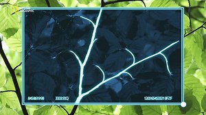 8.4K views · 194 reactions | De ses entrailles jusqu'au plus haut de...