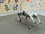 MIT's robotic 'mini cheetah' runs at record speeds on a range of terrain