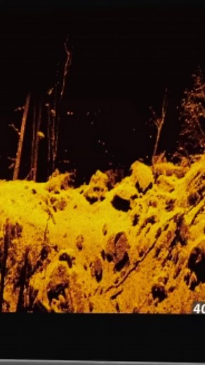 1.7K views · 40 reactions | In live imaging on your sonar, catfish can indeed appear more distinguishable compared to other fish that might look like mere blobs. To learn effective ways of locating catfish using your graphs and sonar technology, be sure to check out this month's edition of CatfishNOW! https://catfishnow.com/MAG/2023/07/14/electronics-by-wiegmann-14/ #CatfishNOW #Catfish #Catfishing #FishFinder #Livescope #BlueCat #FlatheadCatfish #ChannelCatfish | Catfish NOW | Facebook