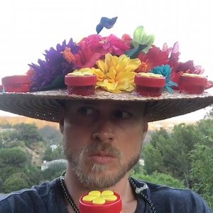 203K views · 1.1K reactions | Human Humming Bird Feeder... makes you smile from your heart I have said over and over most humans are loving, kind, funny ... this one takes that believe to an extreme, a great extreme. Video Credit: www.instagram.com/spencerpratt - Spencer Pratt | Peaceful Experiences | Facebook