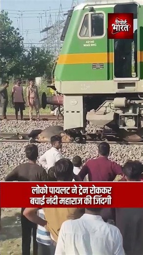 लोको पायलट ने ट्रेन रोककर बचाई नंदी महाराज की जिंदगी #LocoPilotHero #NandiMaharajRescue