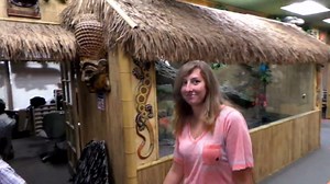 The Reptile Zoo 360° tour
