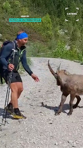 Man Vs Goat