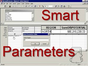Using Smart (Dynamic) Parameters in Access Queries ~ DataPig