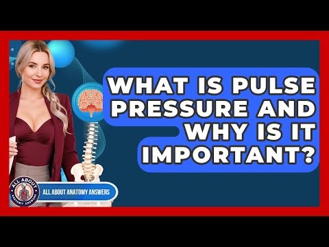 What Is Pulse Pressure And Why Is It Important? - All About Anatomy Answers