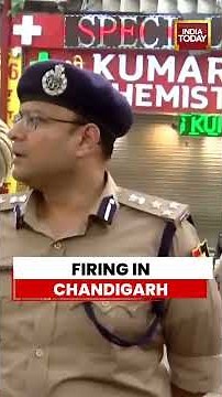 Chandigarh Firing: Man Shot Dead in Chandigarh Shop Firing Incident | Chandigarh's Sector 11