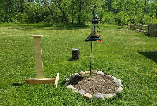 Squirrel Obstacle Course: How Far Can Squirrels Jump? | Science Project