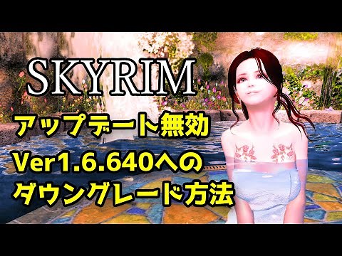 【スカイリム】アップデート無効方法 Ver1.6.64へのダウングレード方法 12/11別の方法も追記しました 【skyrim】